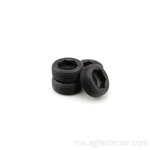 Palam skru keluli tahan karat keluli tahan karat hex plug DIN 906 Hexagon Socket Locking Screws Taper Thread Pipe Plugs